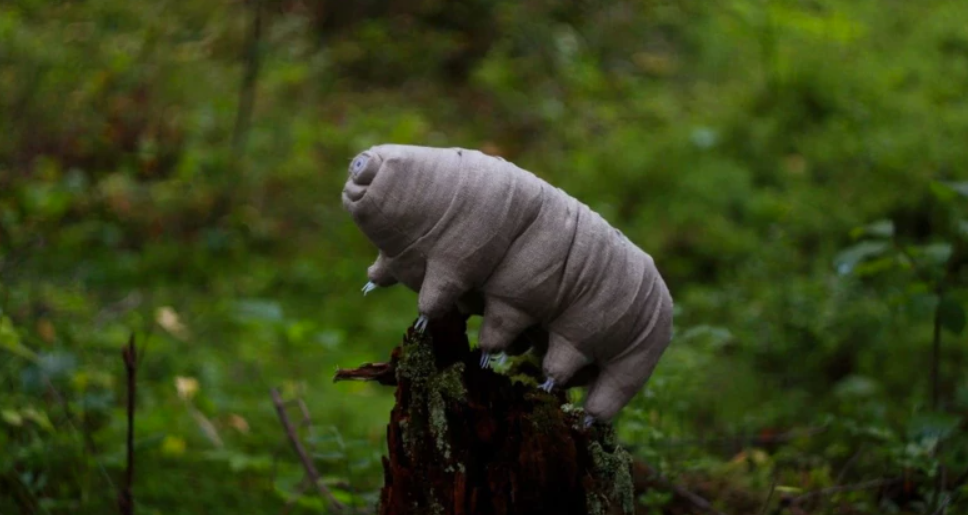 Əsl super qəhrəman: Hətta güllə belə bu canlıya batmır (FOTO)